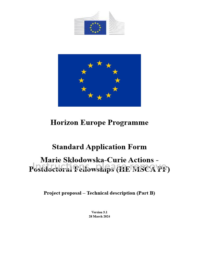 MSCA Postdoctoral Fellowship Proposal Guide | PDF | Artificial ...