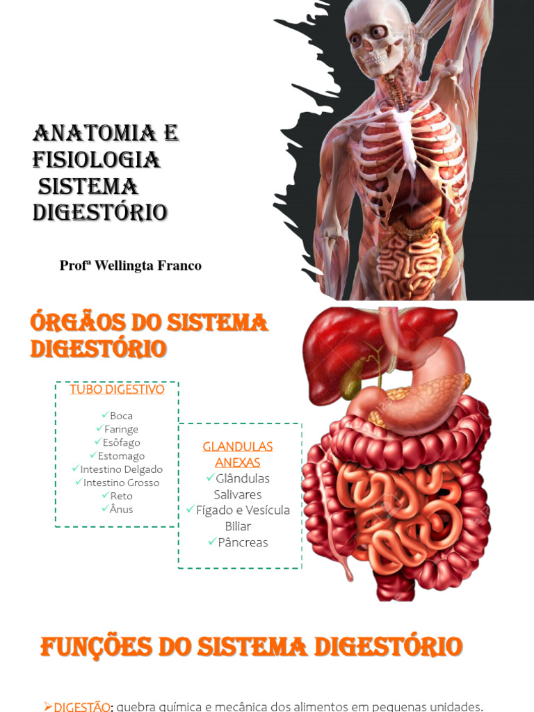 013 Anatomia E Fisiologia Sistema Digestório Pdf Sistema