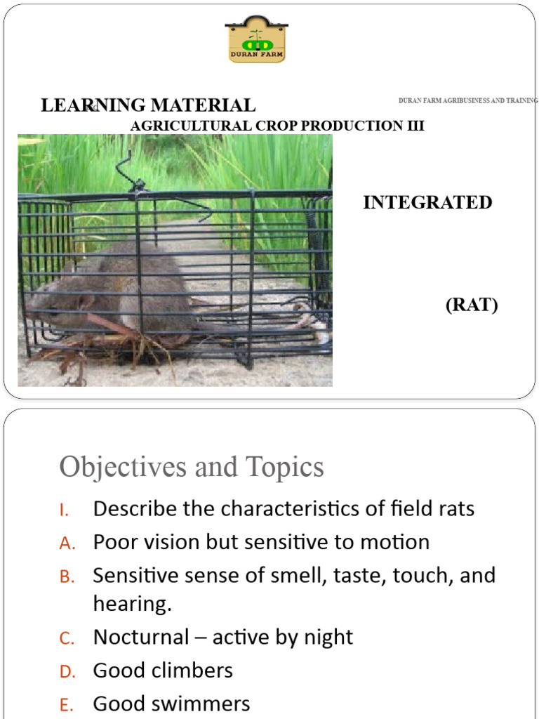 Integrated Pest Management for Field Rats | PDF | Poison | Rat