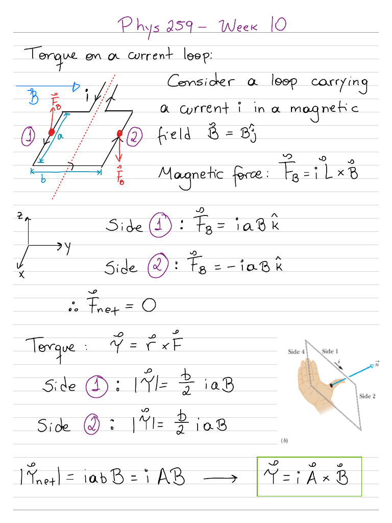 (P259) Week 10 Lecture Notes | PDF
