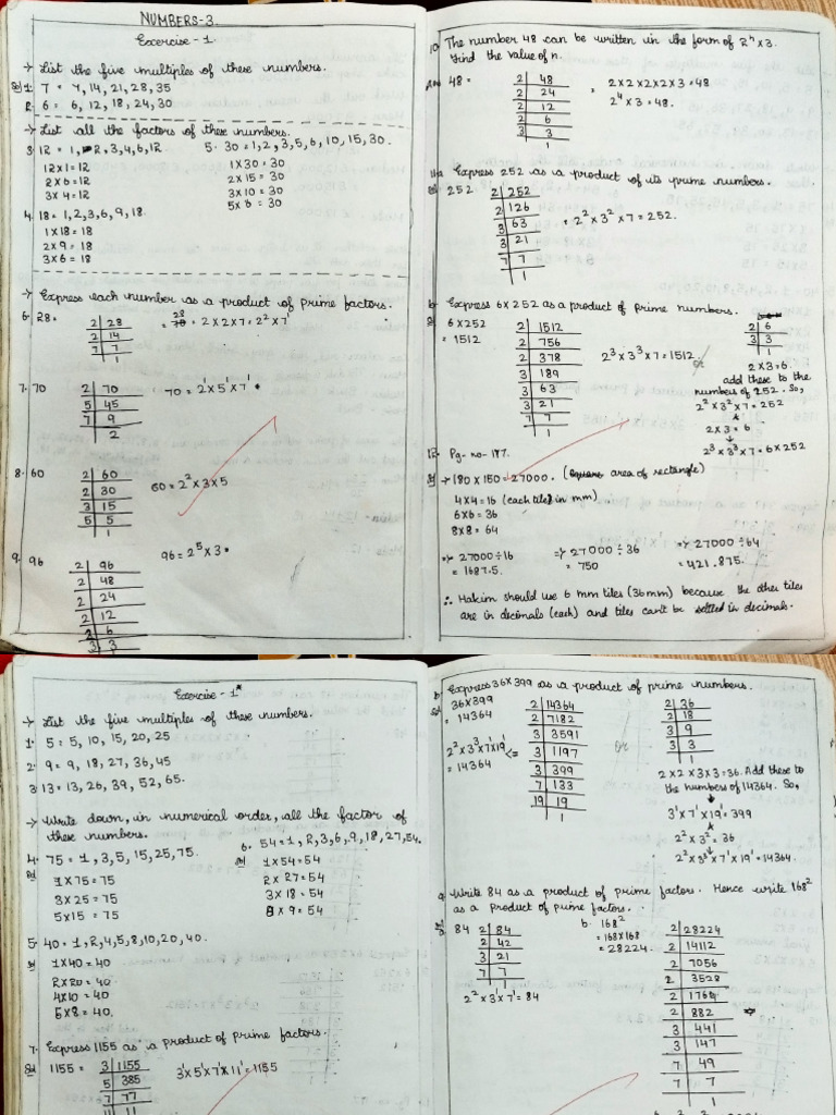 Understanding Multiples and Factors | PDF