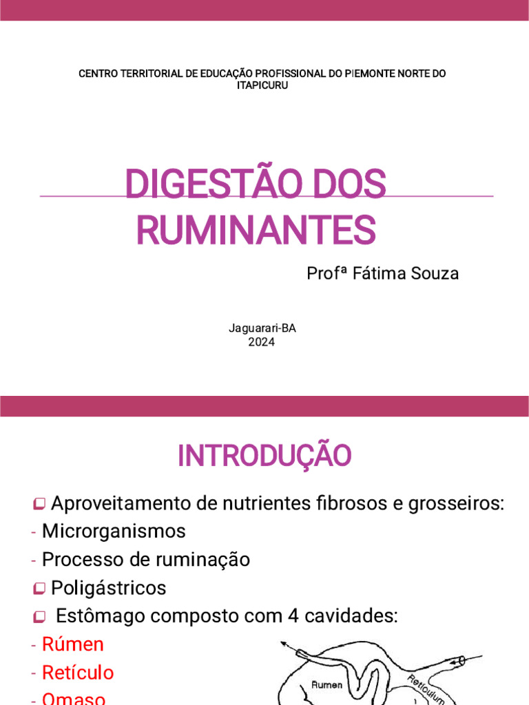 Digestão em Ruminantes e Coelhos | PDF | Ruminante | Sistema digestivo