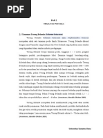 Download Chapter II by cendy_prastiwi SN75005325 doc pdf