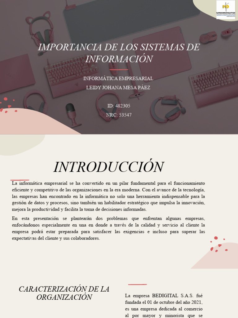 Mejora de Sistemas en Informática Empresarial | PDF | Gestión de ...