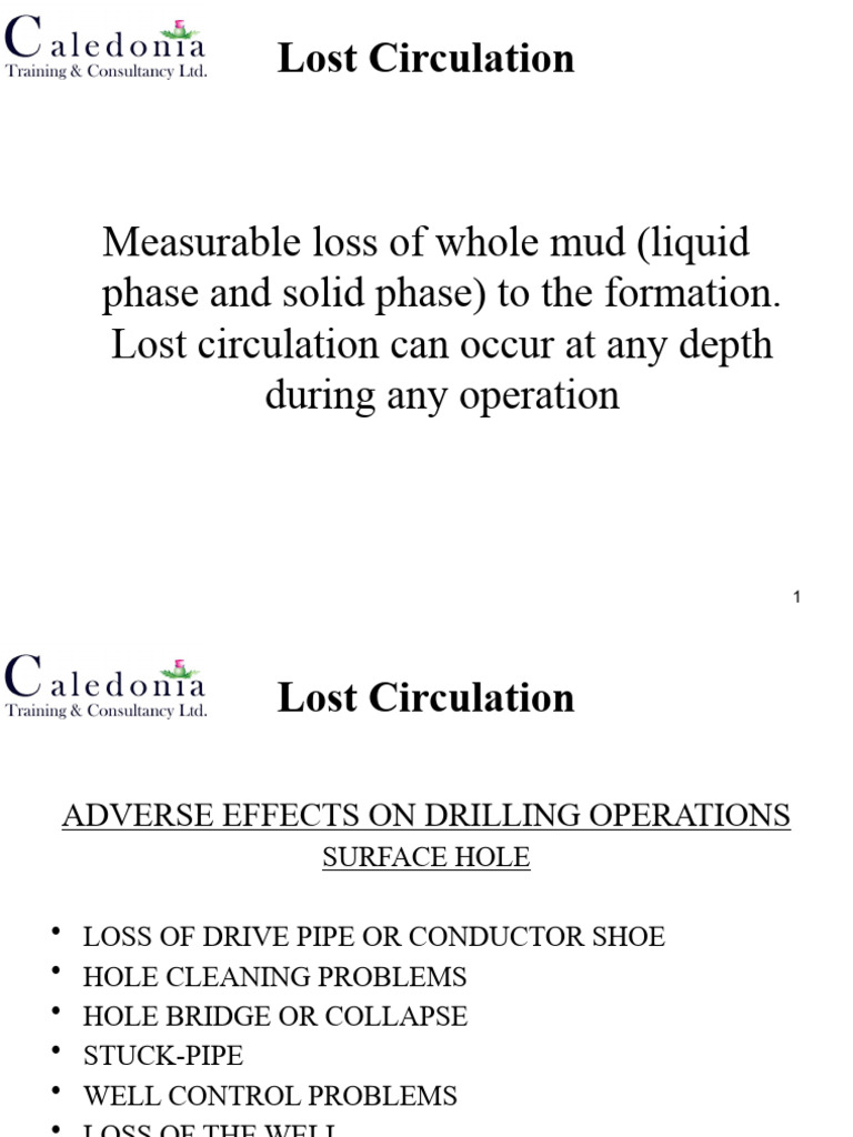 Lost Circulation Pdf Casing Borehole Chemical Engineering