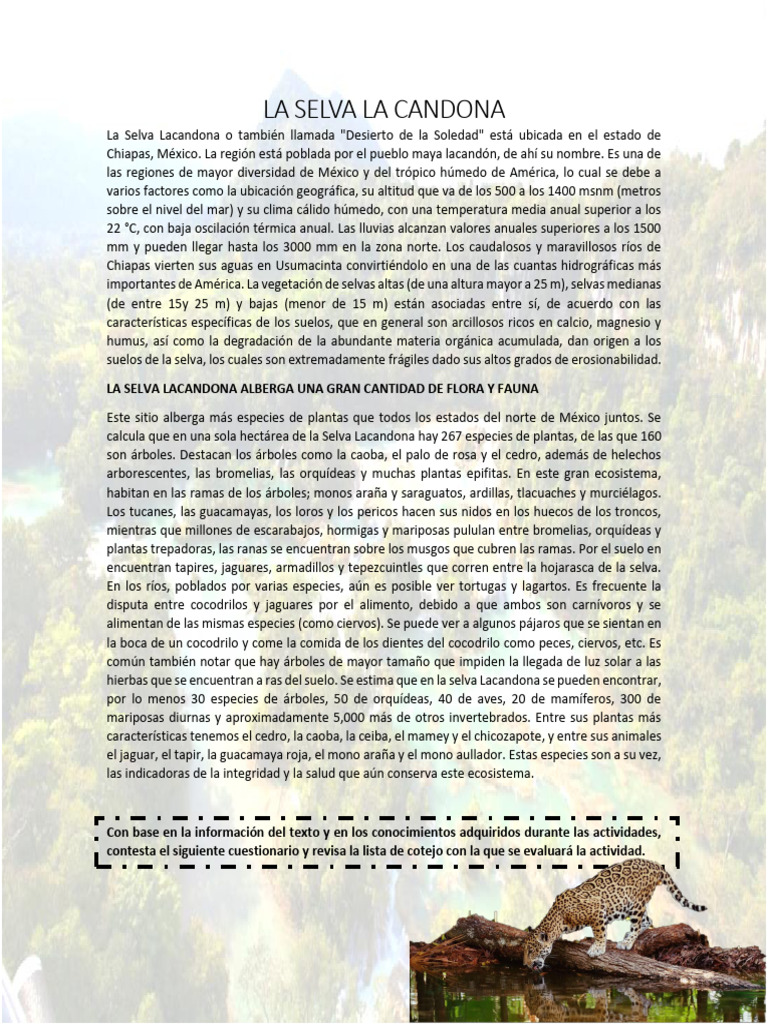 La Selva La Candona | PDF | Selva