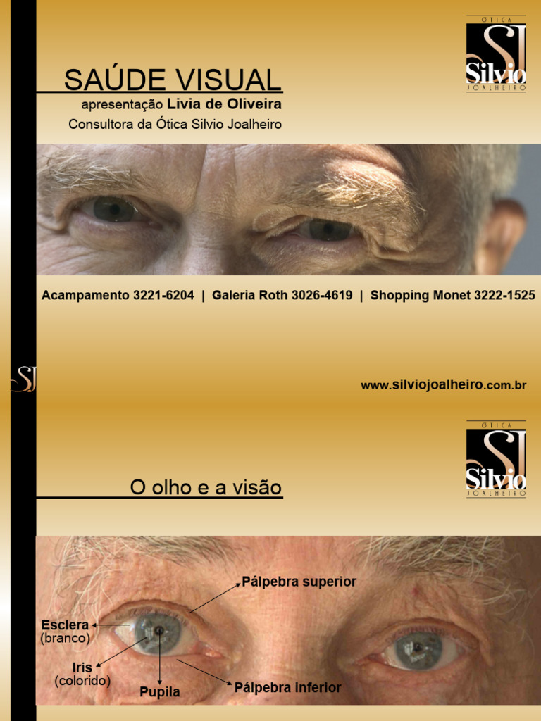 Cuidados e Saúde dos Olhos | PDF | Glaucoma | Sistema visual