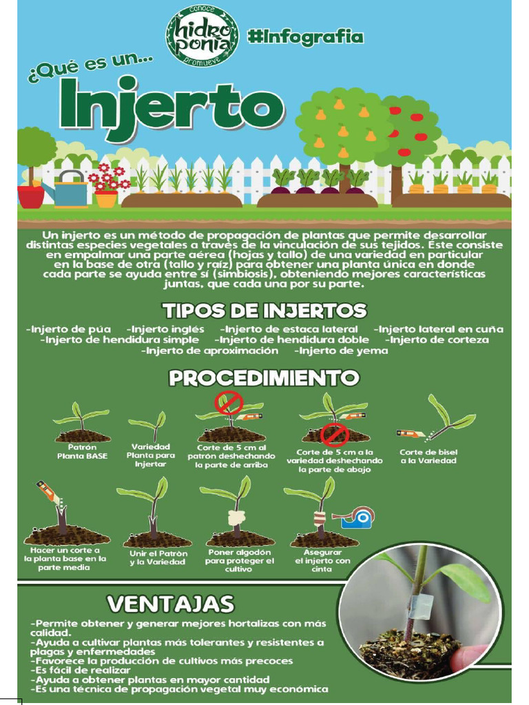 Desventajas del Injerto en Frutales | PDF