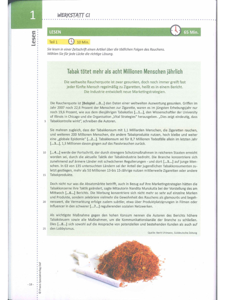 Werkstatt C1 Neu 2024 Lesen Teil 1 | PDF