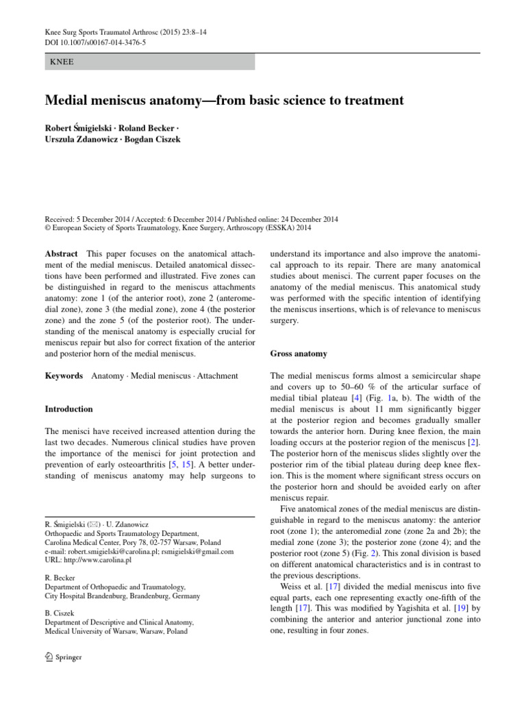 1 medial meniscus anatomy from basic science to treatment 3302681439 2