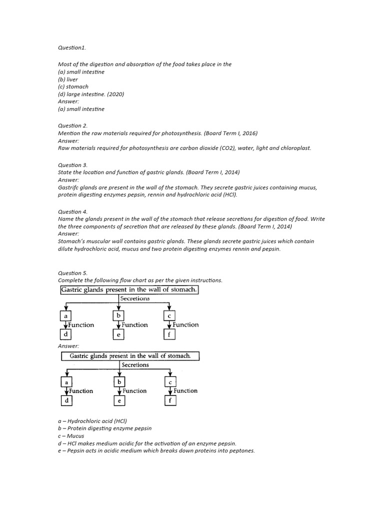 Ch 5 Life Processes Pdf Kidney Heart