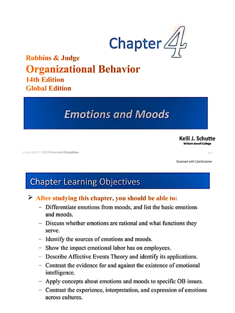 Chapter 4 Emotions and Moods | PDF