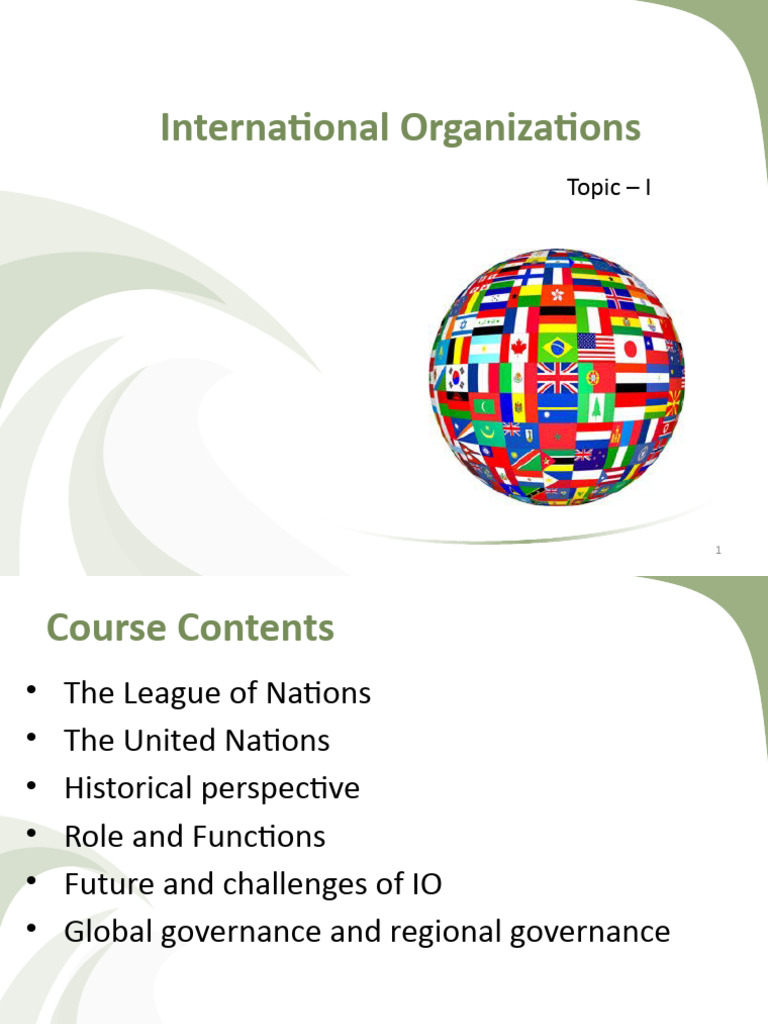 Overview of International Organizations | PDF | Israel | World Politics
