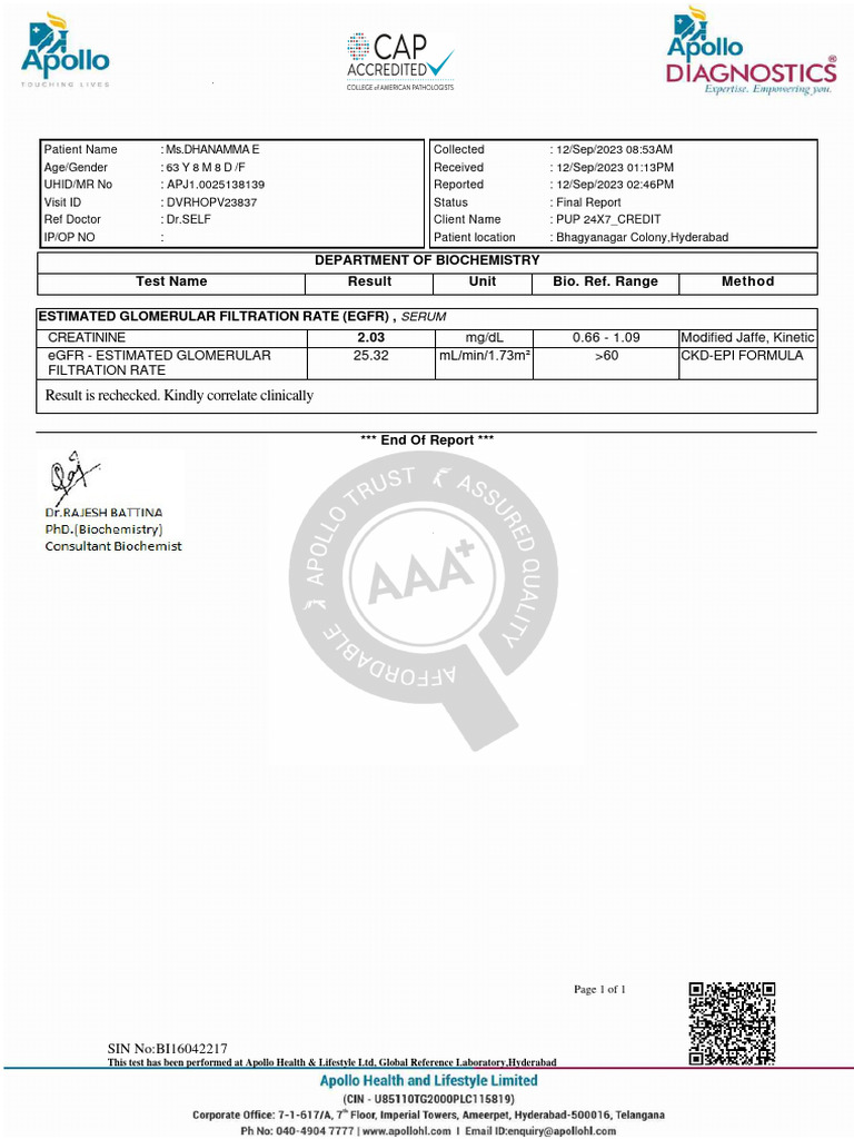 Apollo report pdf