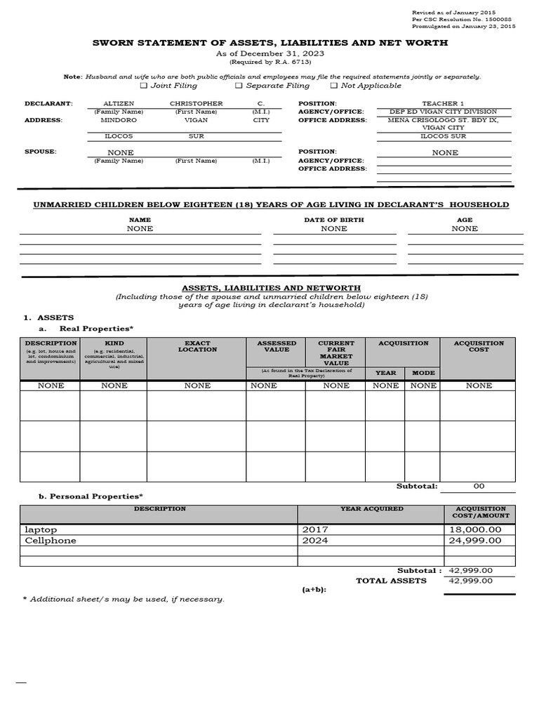 SALN 2024 Download Free PDF Net Worth Money