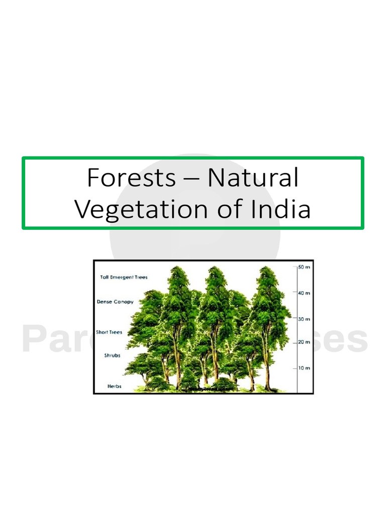 Forest Types and Laws in India | PDF | Forests | Himalayas