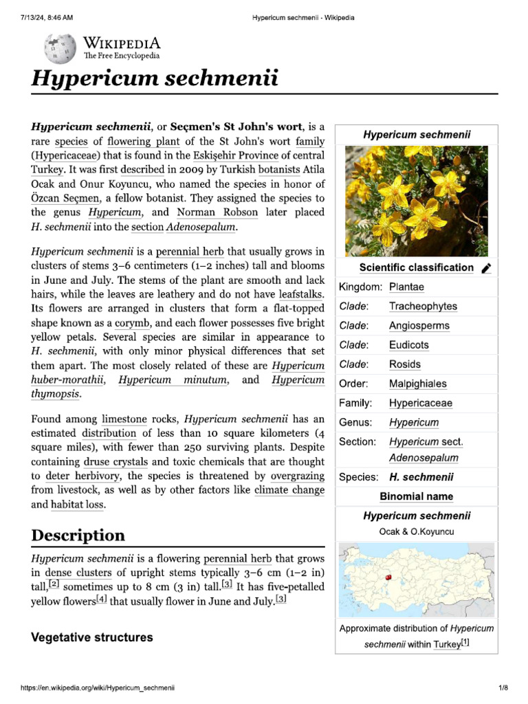 Hypercurium Yellow Flower | PDF