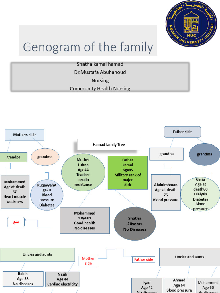 Family Health Genogram Analysis | PDF | Angiology | Medical Specialties