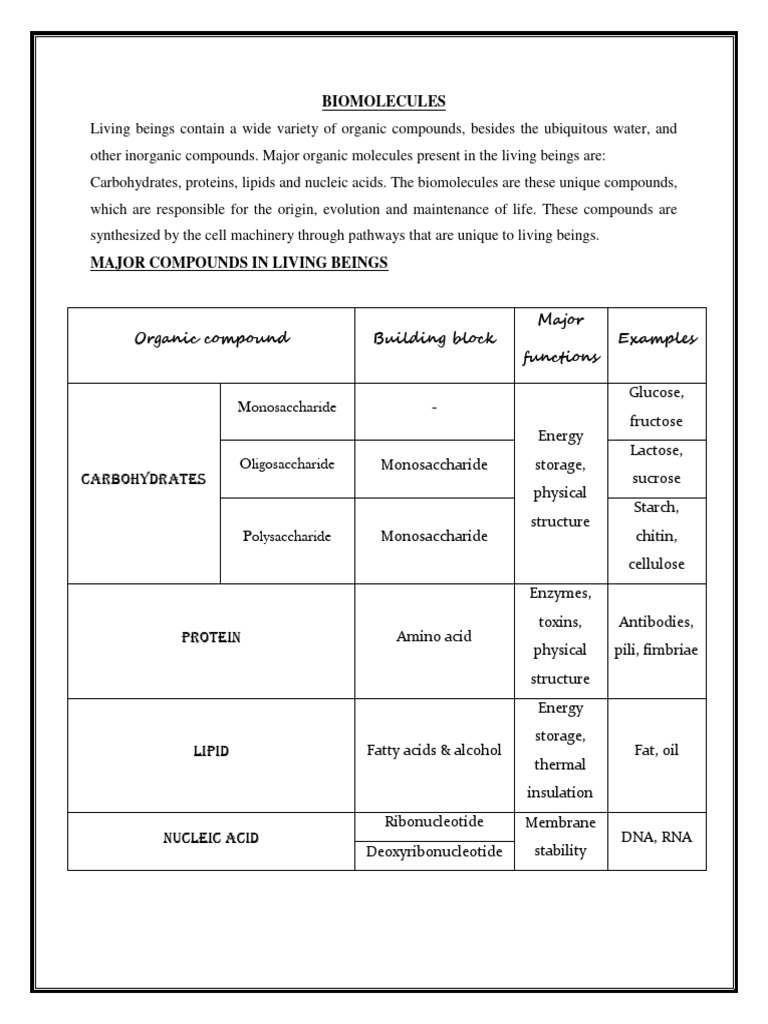 Biomolecules Notes | PDF | Carbohydrates | Lipid