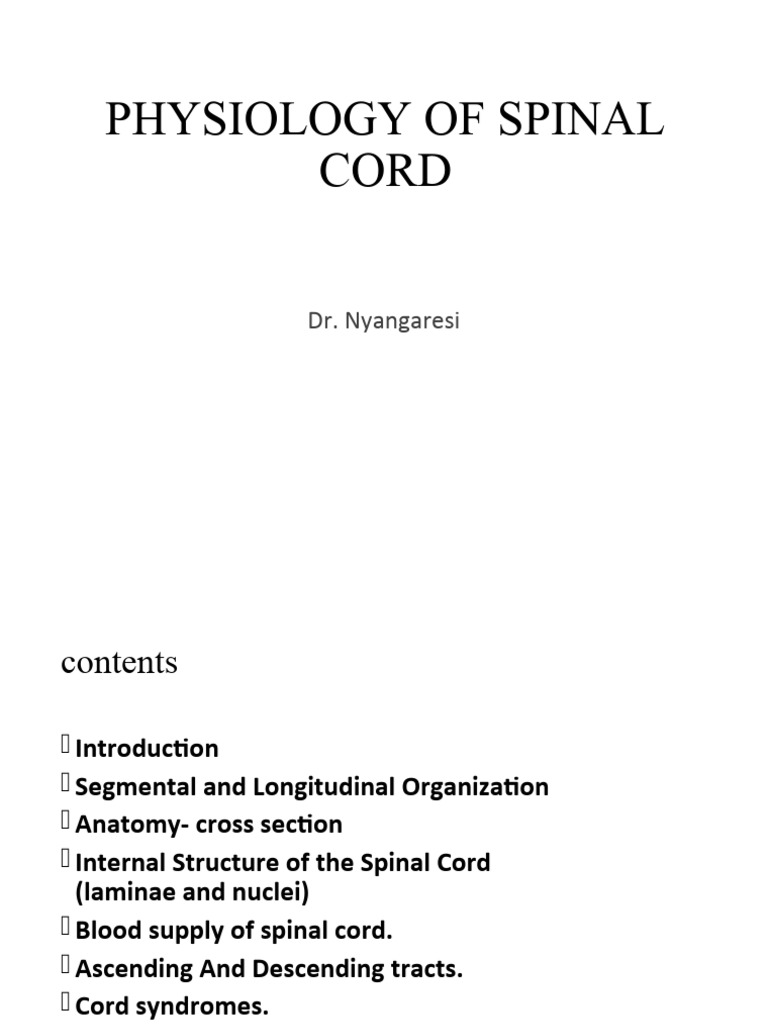 Spinal Cord Physiology Overview | PDF | Spinal Cord | Vertebral Column