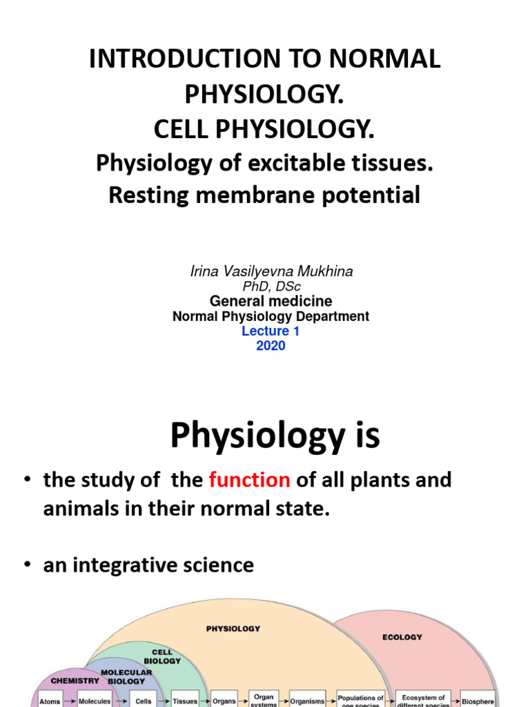 PHYSIOLOGY Autumn Semester | PDF | Chemical Synapse | Synapse