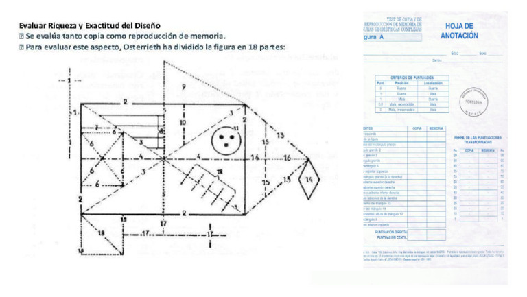 Figura Compleja de Rey | PDF