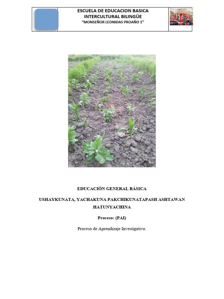 Guía U70 - C4 10MO KICHWA | PDF | Modificación de comportamiento ...