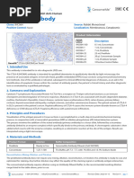 Ventana IHC Staining Protocol Guide | PDF