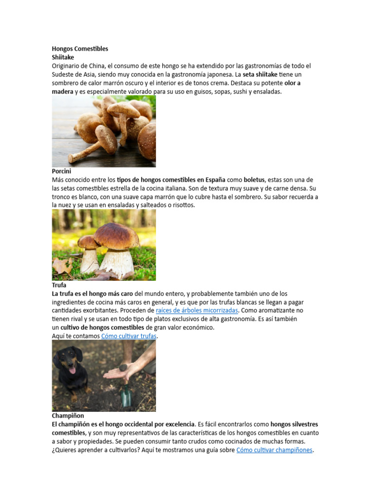 10 Hongos Comestibles Pdf Hongos Comestibles Hongo