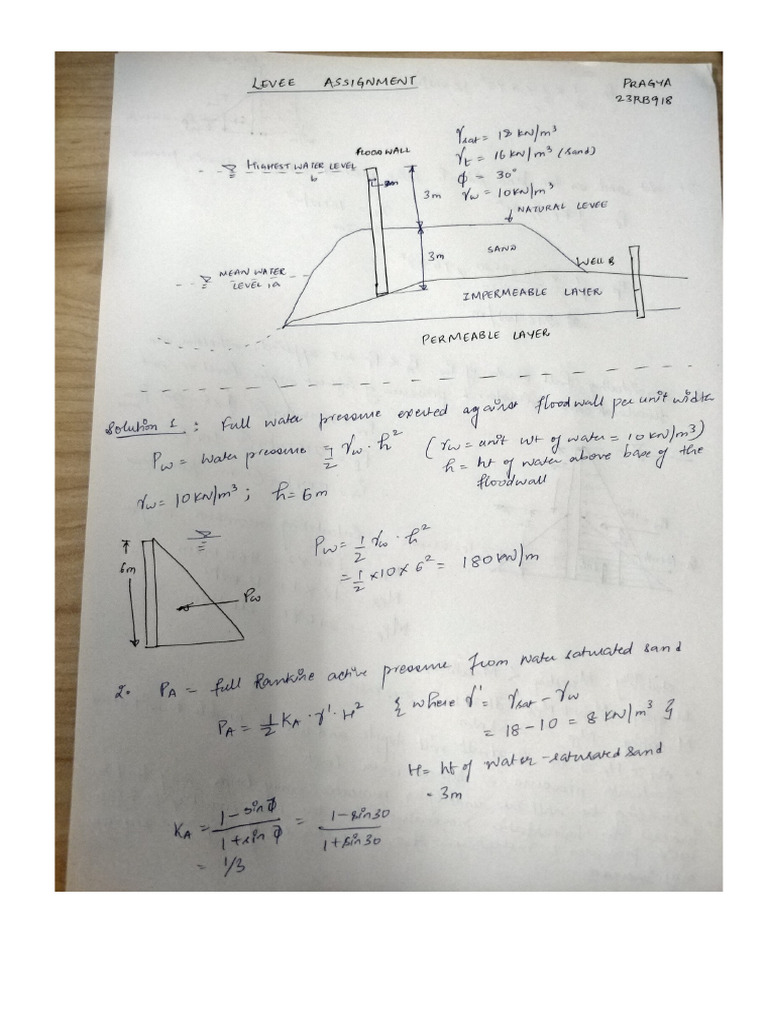 Levee Assignment Pragya | PDF