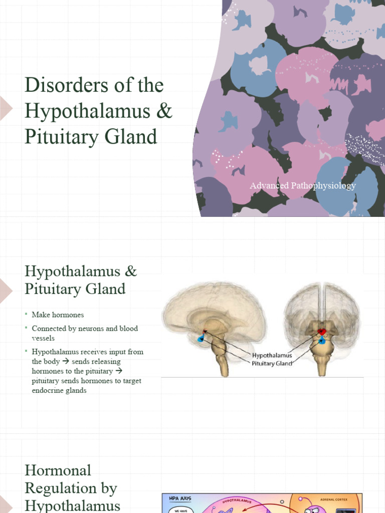 CTH Hormone and Pituitary Disorders | PDF | Hypothalamus | Pituitary Gland