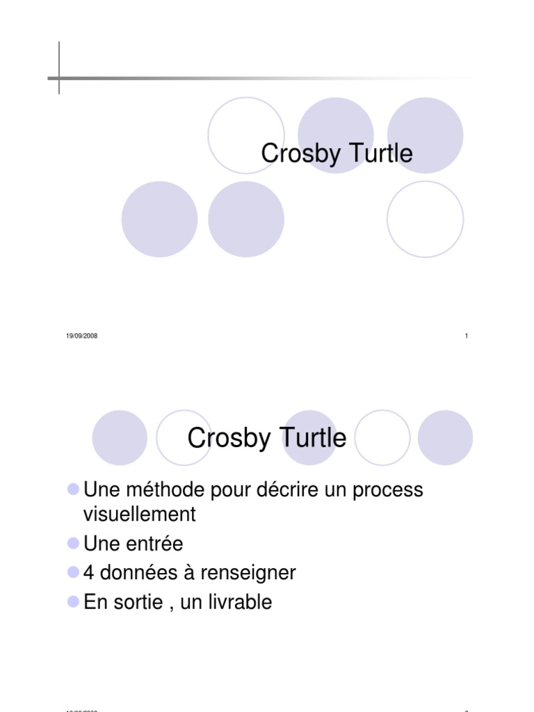 Crosby Turtle Diagram , Comment améliorer la performance d’une ...