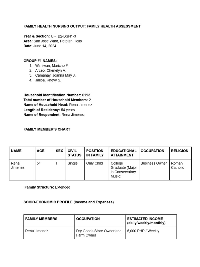 Family Health Nursing Output Family Health Assessment | PDF | Waste ...