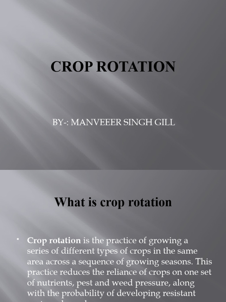 Understanding Crop Rotation Practices | PDF | Crop Rotation ...