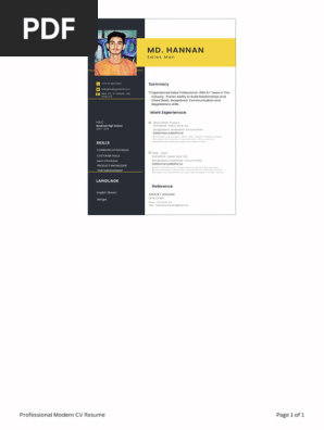 Professional Modern CV Resume_20240629_032903_0000