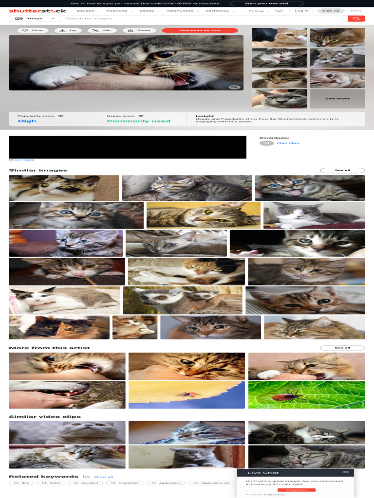 Gallery image with a fresh perspective