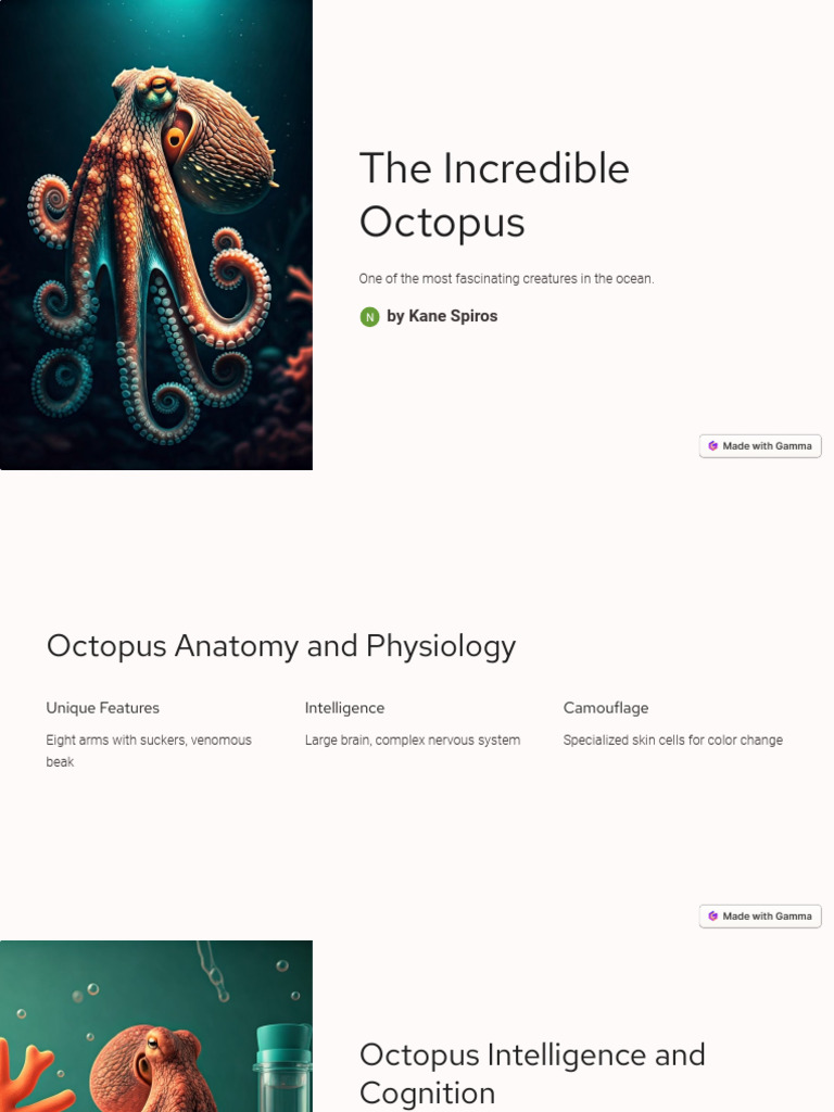 The Incredible Octopus | PDF