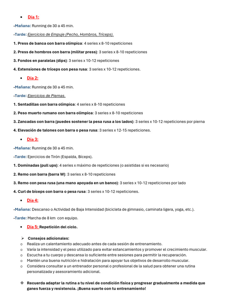 Rutina de Entrenamiento en Casa | PDF