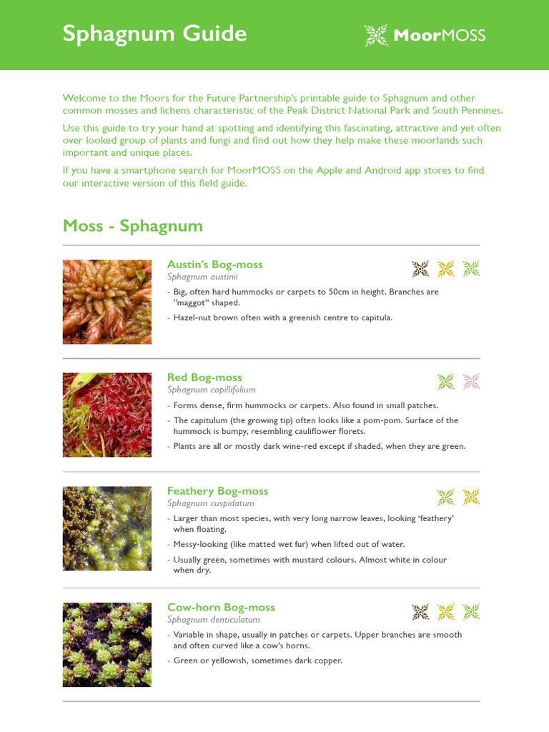 Sphagnum Moss Identification Guide | PDF | Moss