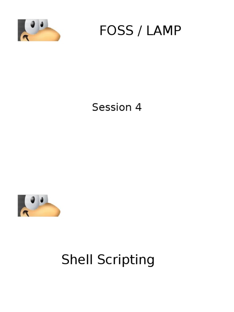Shell Scripting | PDF
