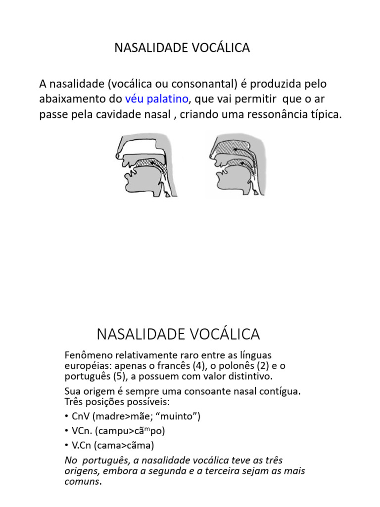 Nasalidade Vocálica em Português | PDF | Sílaba | Fonema