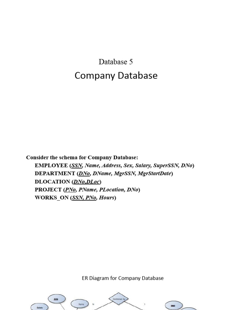 Database5 CompanyDatabase | PDF