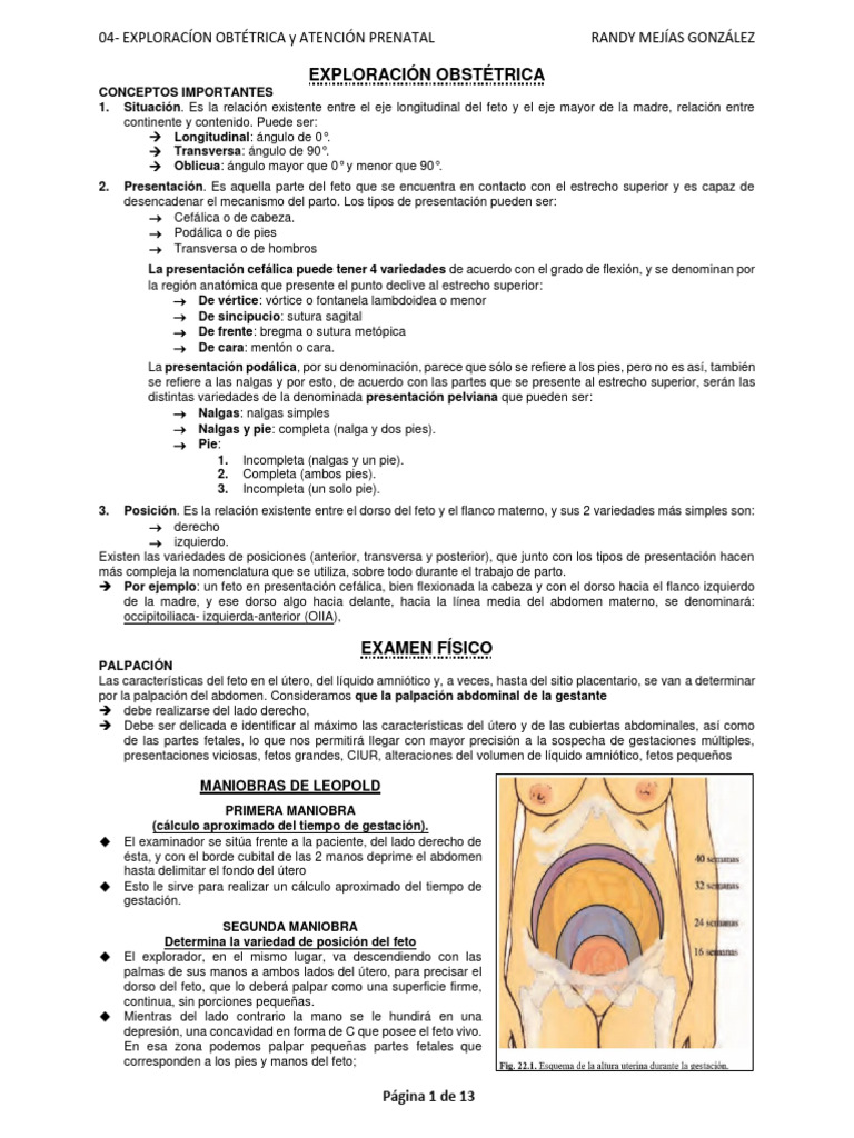04- EXPLORACIÓN OBSTÉTRICA y ATENCIÓN PRENATAL | Descargar gratis PDF ...