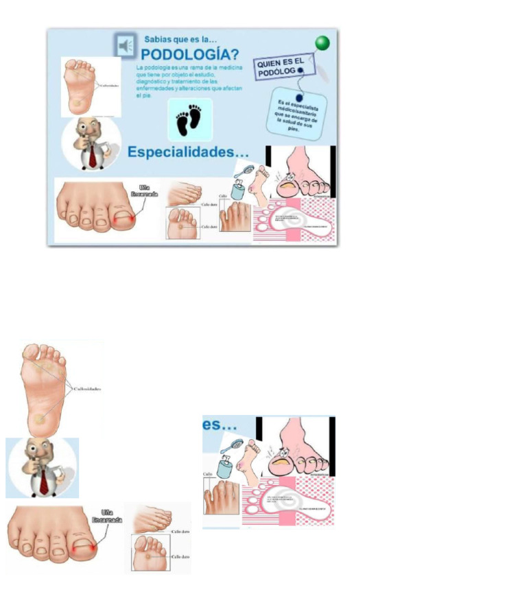 Podo | PDF