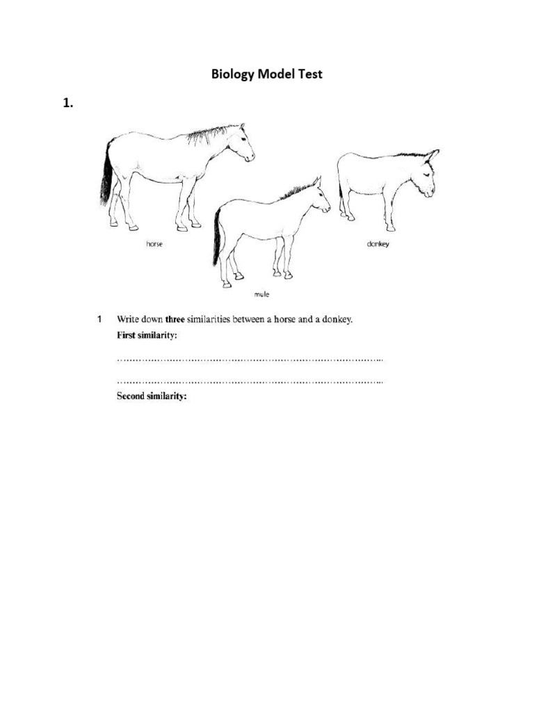 Final Model Teest Bio | PDF