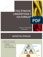 Aspectos Étnicos, Lingüísticos y Artísticos