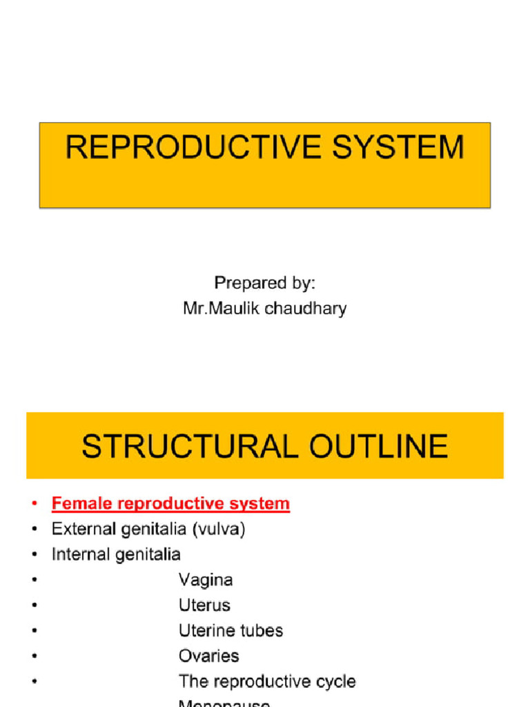 Reproductive System 73578010 73578010 | PDF