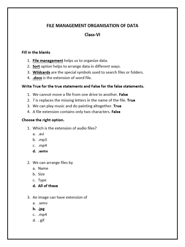 File Management Basics for Class VI | PDF | Computers