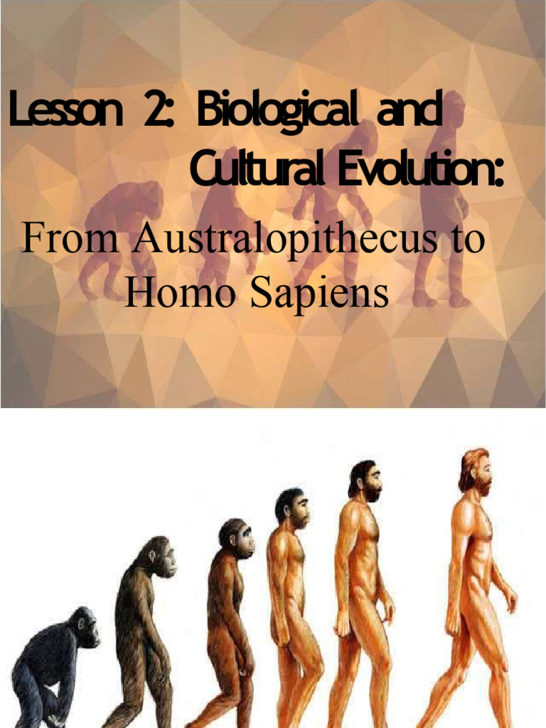 Lesson 2 Biological and Cultural Evolution | PDF | Homo | Paleoanthropology