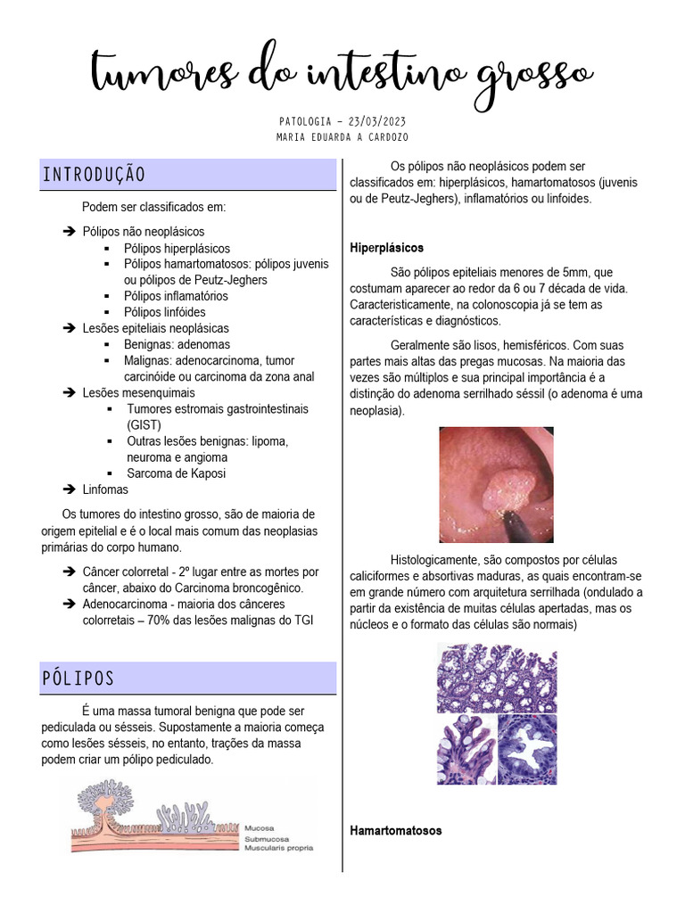 Pólipo séssil róseo de 5mm: Classificação e Implicações | PDF ...